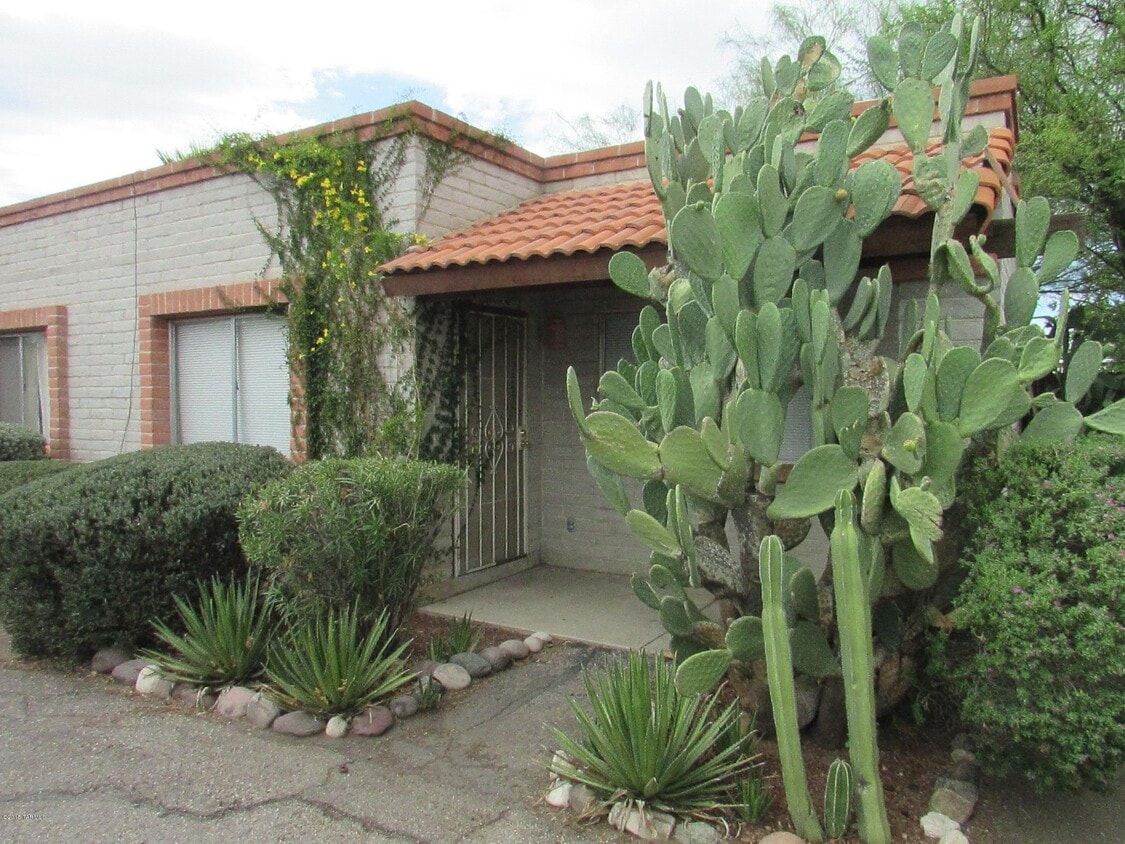 Primary Photo - 3699 N Mountain Ave