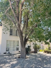 Building Photo - 1122 S Clark Dr