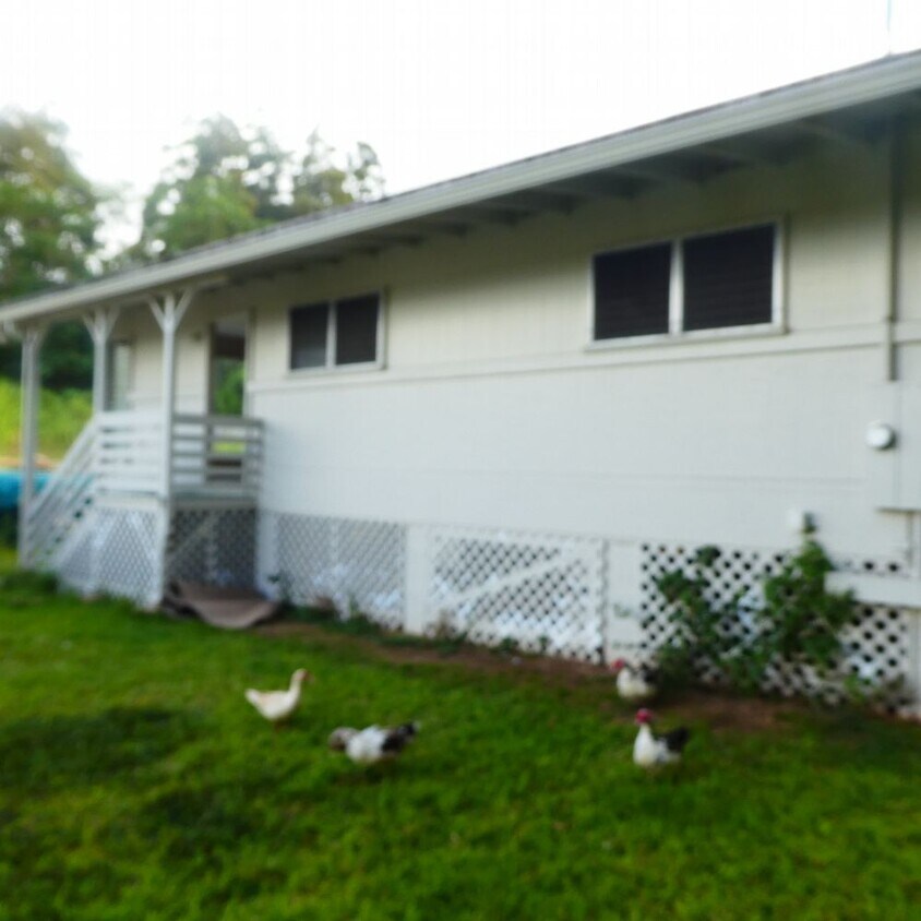 Foto principal - 47-396 Mapumapu Road