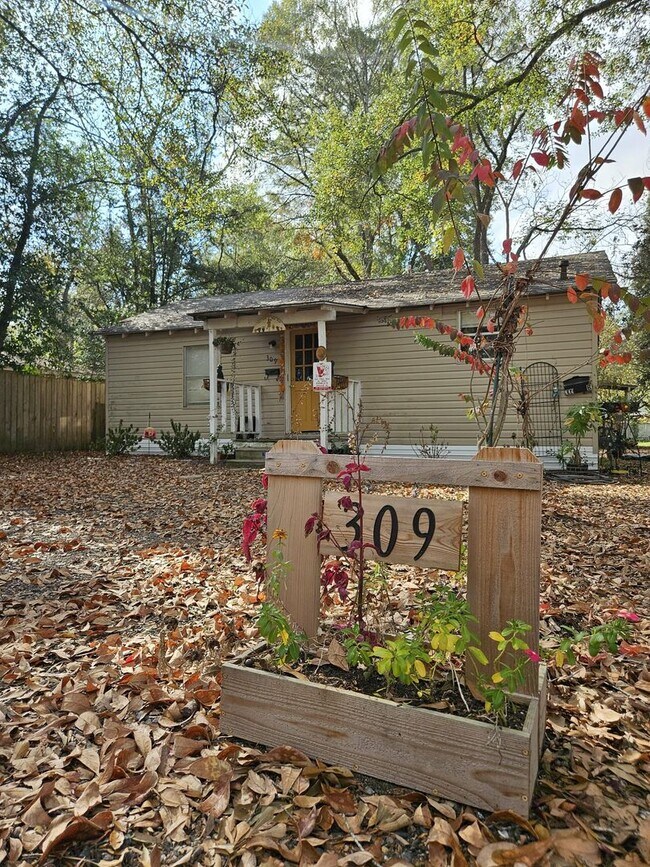 Building Photo - 309 Pecan St
