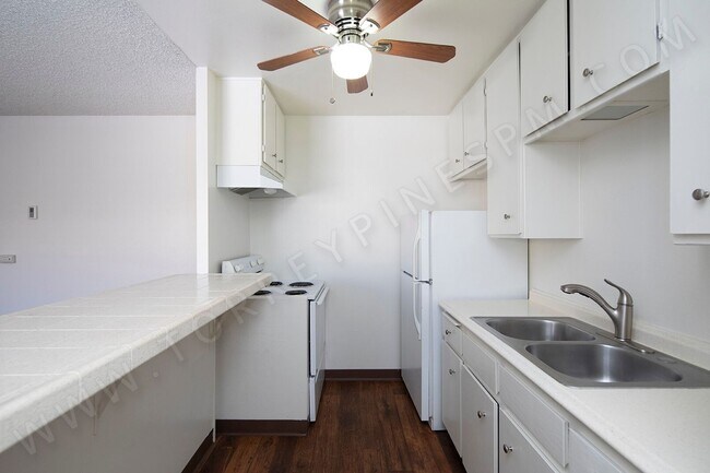 Foto del edificio - Charming 1 BR in the Heart of Pacific Beach