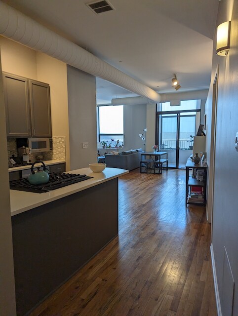 View from entrance - 910 S Michigan Ave