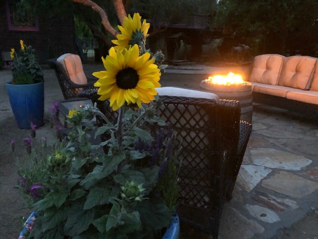 74 Apartments for Rent in Temecula, CA Westside Rentals