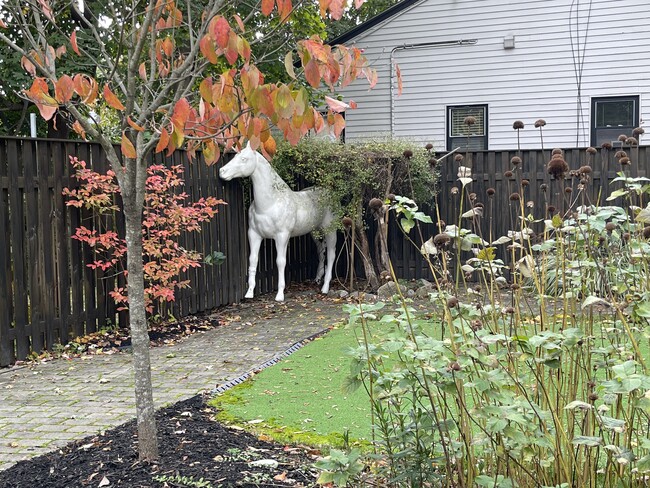 Friendly Unicorn in yard - 46 Pleasant St