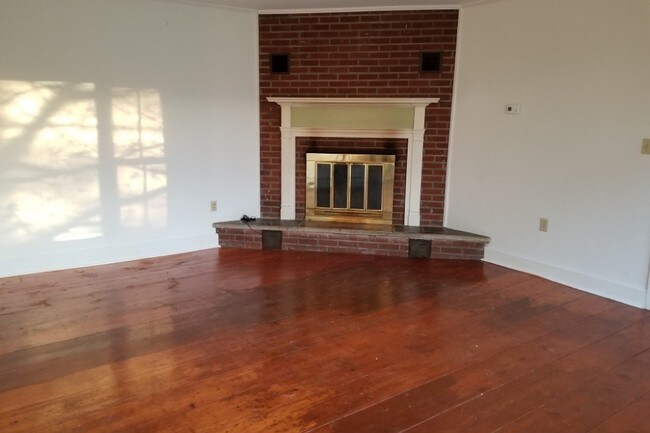 Sala de estar con chimenea a leña - 2184 VT-30
