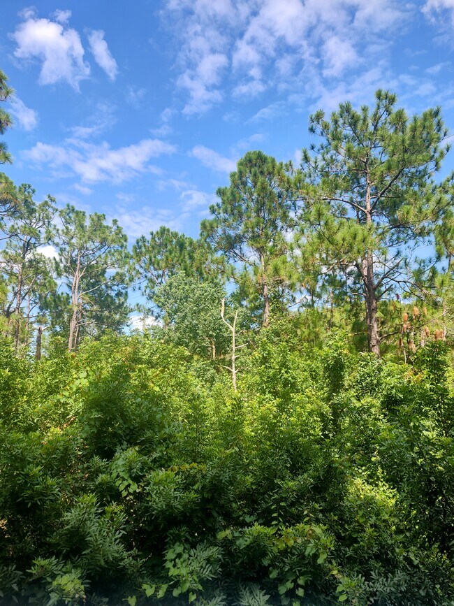 Building Photo - 9025 Avenue Pointe Cir