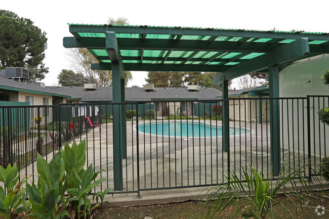 Piscina - Ashtree Apartments