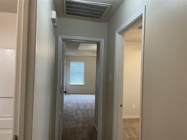 Foto del edificio - 3830 Wimberley Hollow Ln