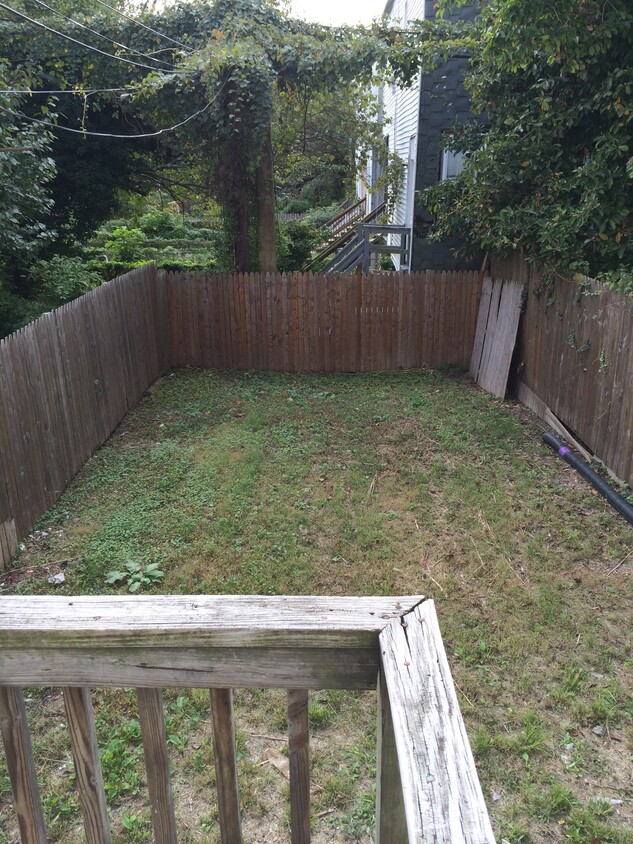 Back yard - 707 Glenwood Ave