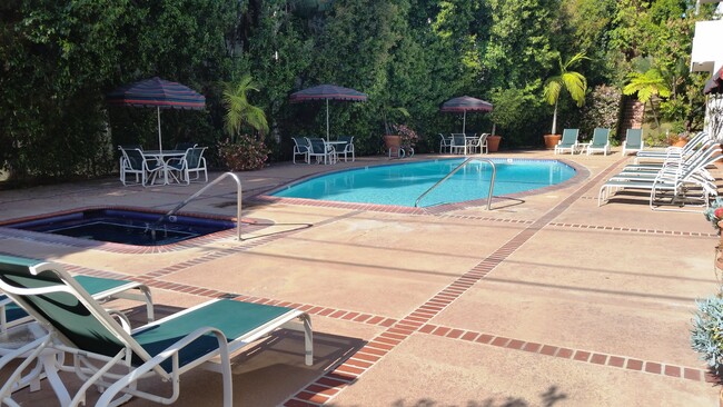 Pool and Jacuzzi - 8530 Holloway Dr