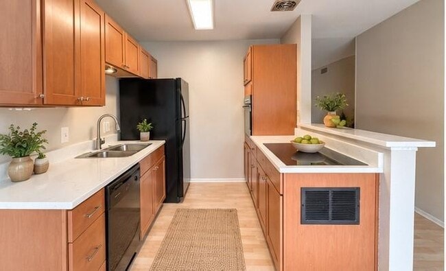 Building Photo - 5332 Balcones Dr