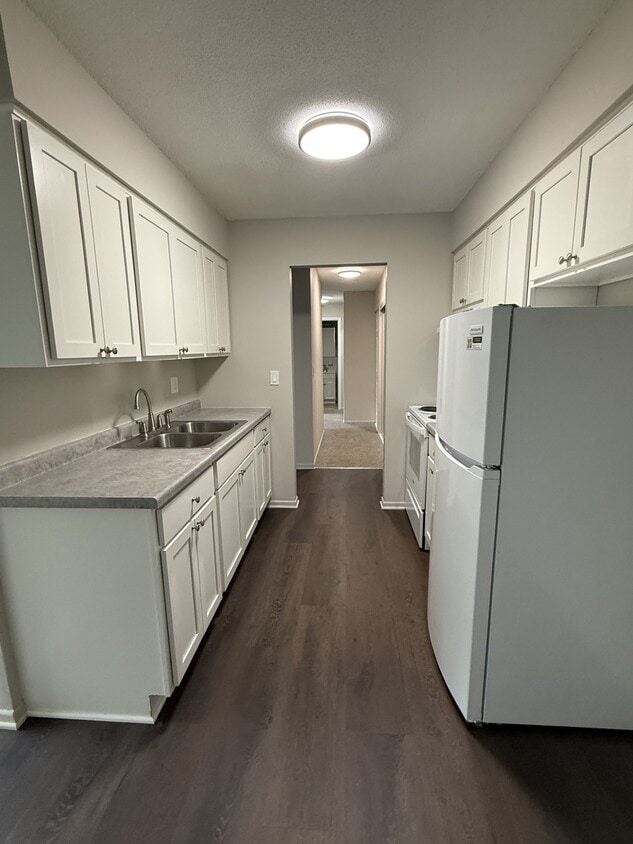 Primary Photo - Goldenstar