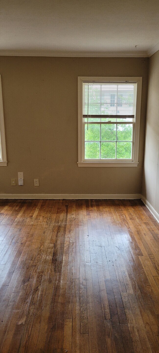 1731 Bolsover St Unit 1731, Houston, TX 77005 Apartments in Houston