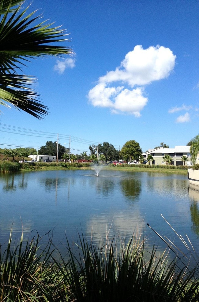 Harbour Cay Apartments Largo Fl Harbour Cay Apartments Largo Fl