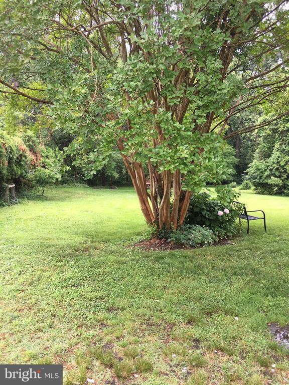 Foto principal - 4418 N Old Glebe Rd