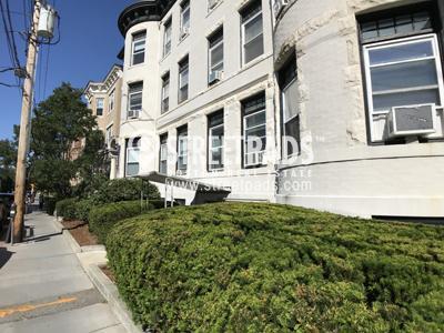 Primary Photo - 1 bedroom in Brookline MA 02446