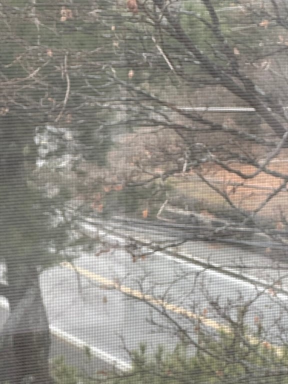 Foto del edificio - 78 Lorenzo Cir