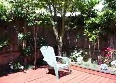 Patio trasero - 442 Tehama St