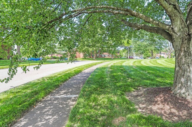 Foto del edificio - 319 Blair Ct