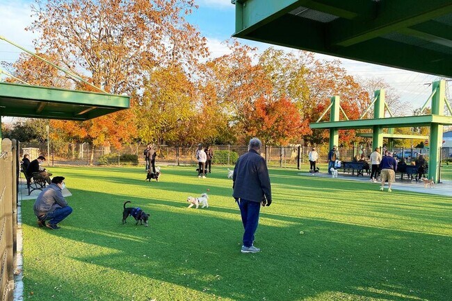 Dog Park - 809 Auzerais Ave