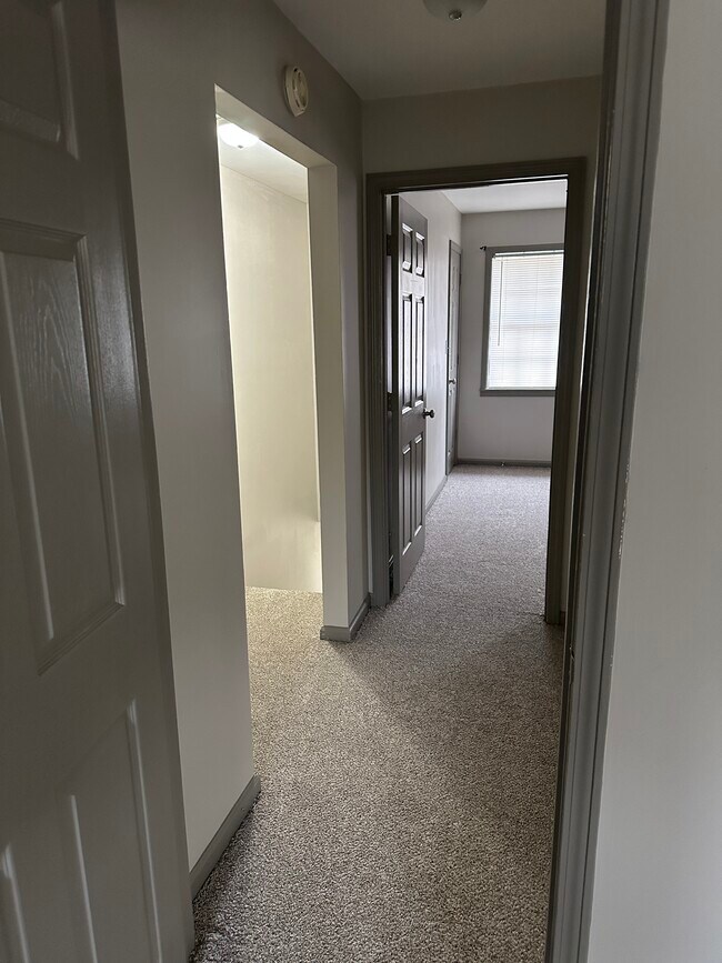 905 W Jackson St Unit 905B, Tupelo, MS 38804 Condo for Rent in Tupelo