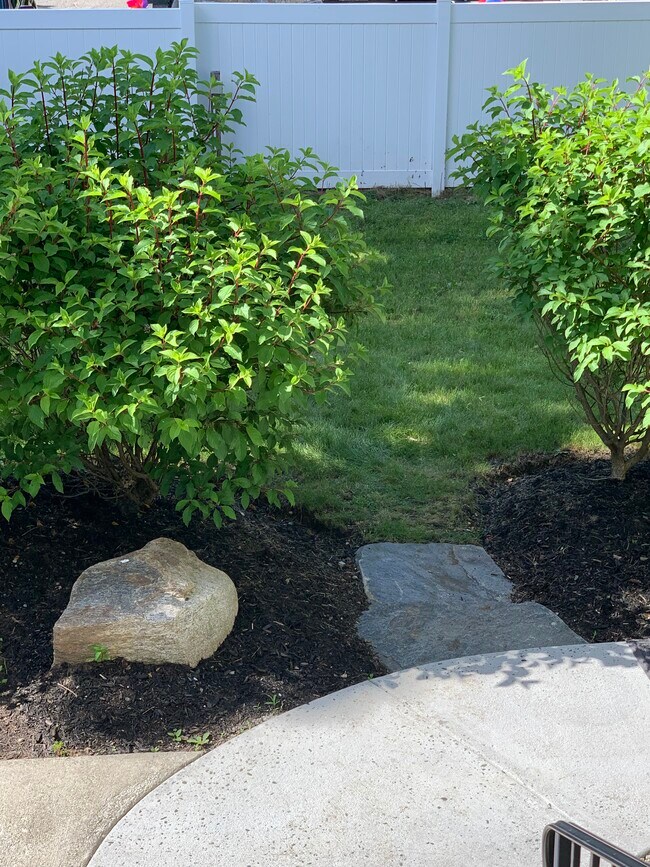 walkway to back yard - 47 W Wooster St