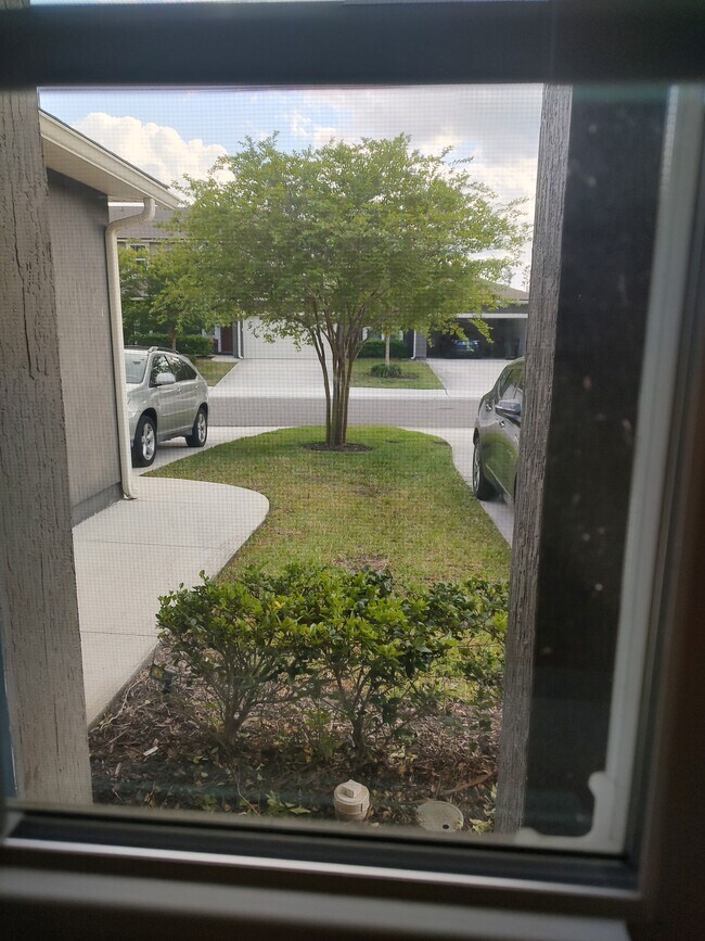 Foto del edificio - 3268 Chestnut Ridge Way