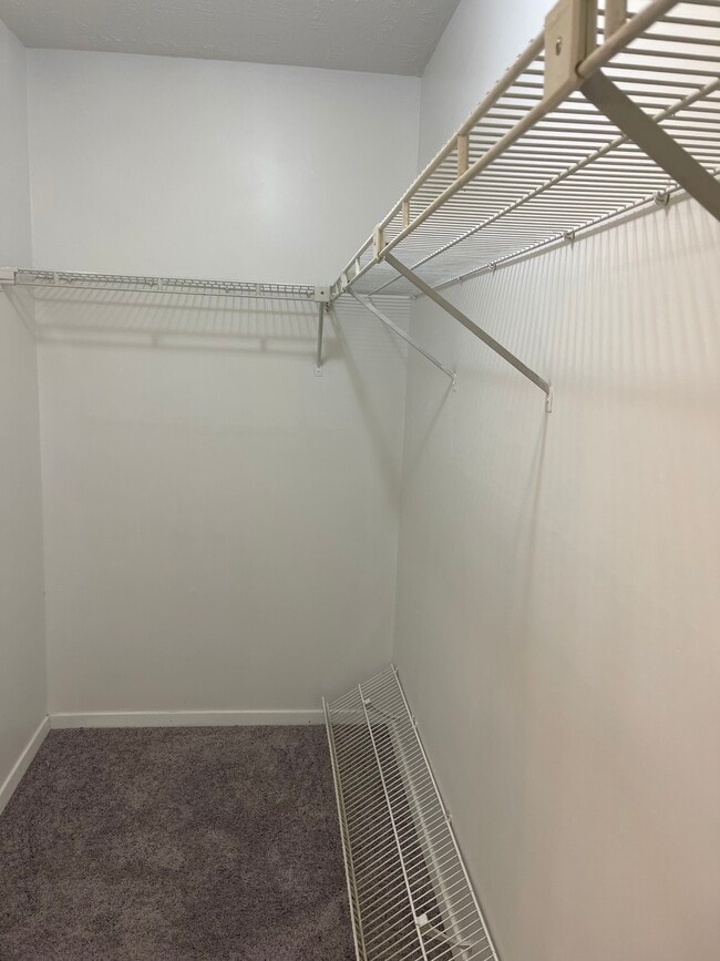 Building Photo - 5526 Mountain Springs Cir