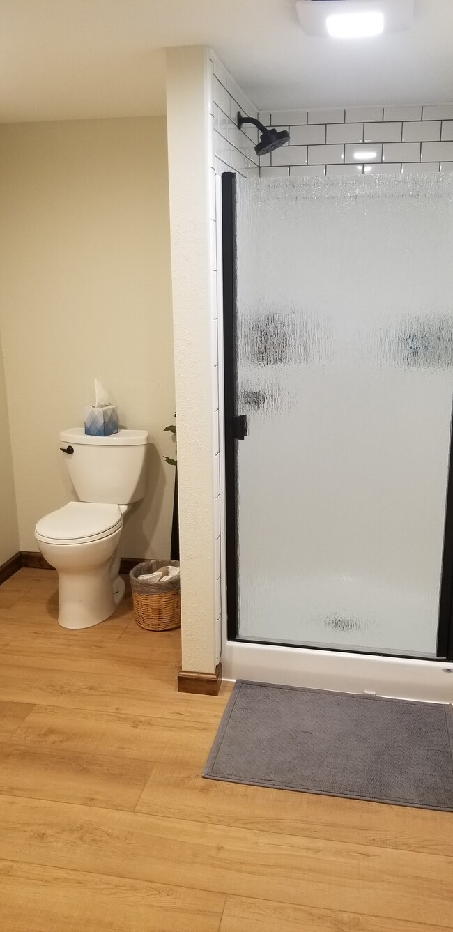 Basement bathroom - 315 Lakeshore Dr