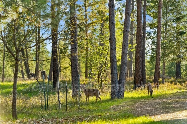 Building Photo - 495 Van Sant Rd