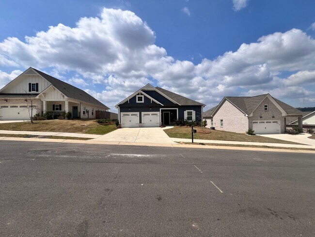 Building Photo - New Construction- One level home with luxurious finishes!