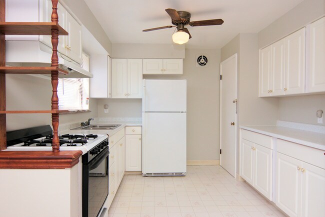 Building Photo - 1167 Alwil Dr