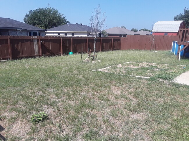 back yard - 4600 Windcrest Dr