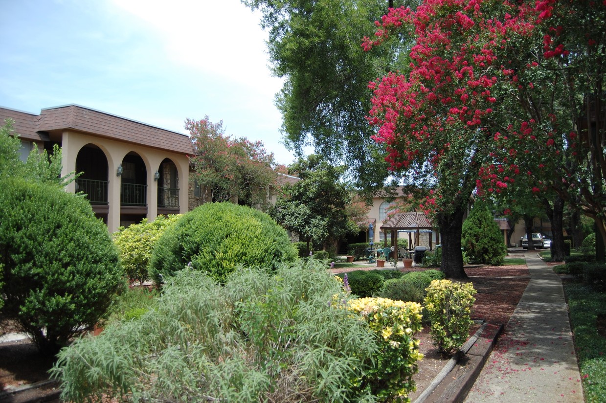 Amazing Courtyards - Wilshire Woods