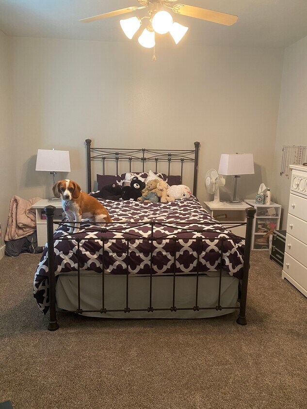 2182 N Springtime Dr Unit Spring at Harvest Hills, Saratoga Springs, UT