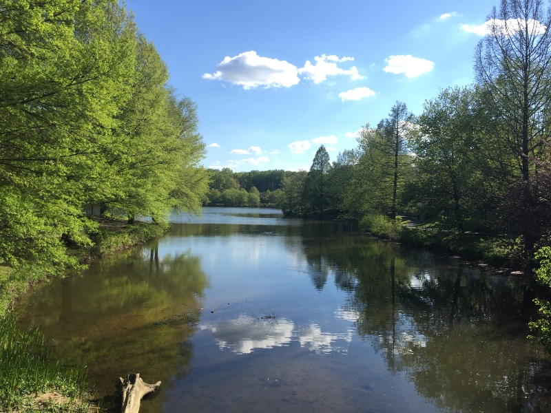 Photo - 7753 New Providence Dr (Falls Church, VA)