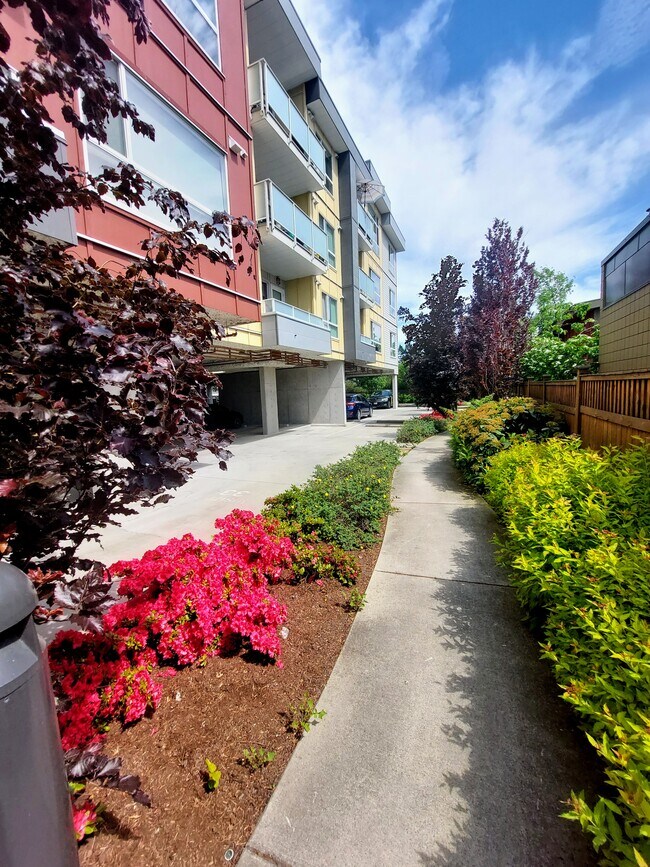 Photo du bâtiment - Promenade on Jacklin