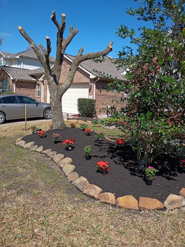 Building Photo - 11227 Agave Ridge Ln