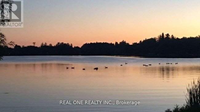 Building Photo - 14833 Ninth Line