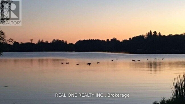 Photo du bâtiment - 14833 Ninth Line