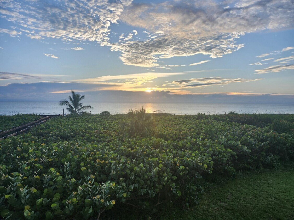 Foto principal - 3870 N Hwy A1A