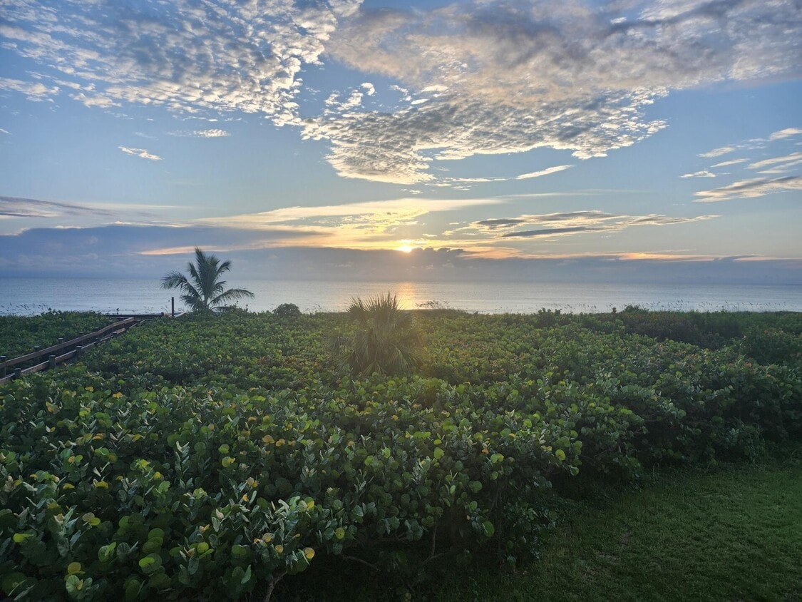 Primary Photo - 3870 N Hwy A1A