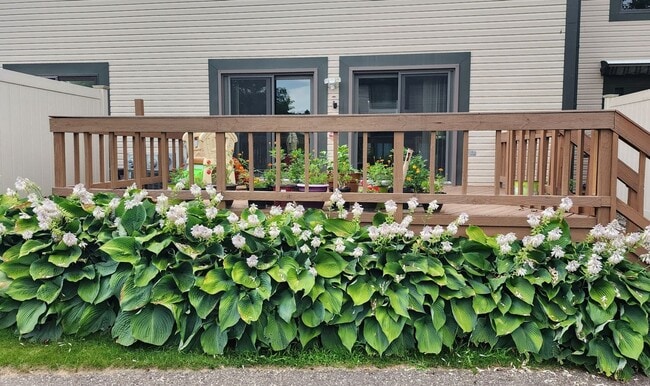 Building Photo - 1226 Charleston Ct