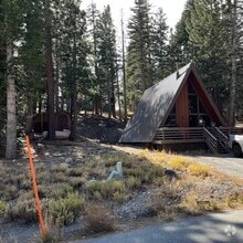 Building Photo - 1457 Forest Trail