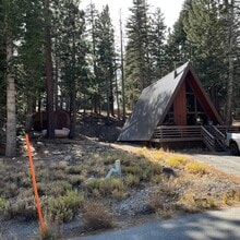 Building Photo - 1457 Forest Trail