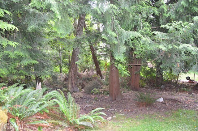 Foto del edificio - 3700 Beazer Rd