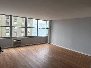 Foto del edificio - 1000 N Lake Shore Dr
