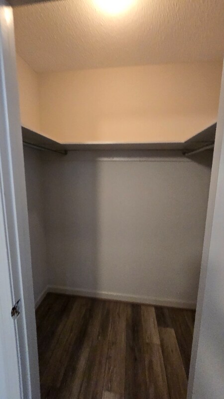 Foto del edificio - 105 Colebrook Ct