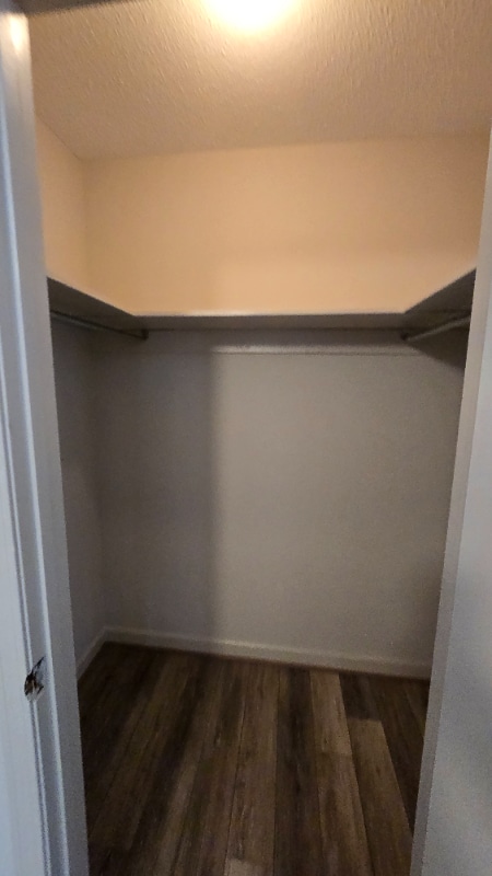 Building Photo - 105 Colebrook Ct