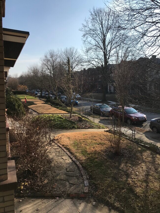 Avenida Maple - 605 Maple Ave